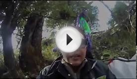 Невероятное видео! Орел против параплана