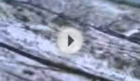 вид с вертолёта пос Усть-Куйга Якутия